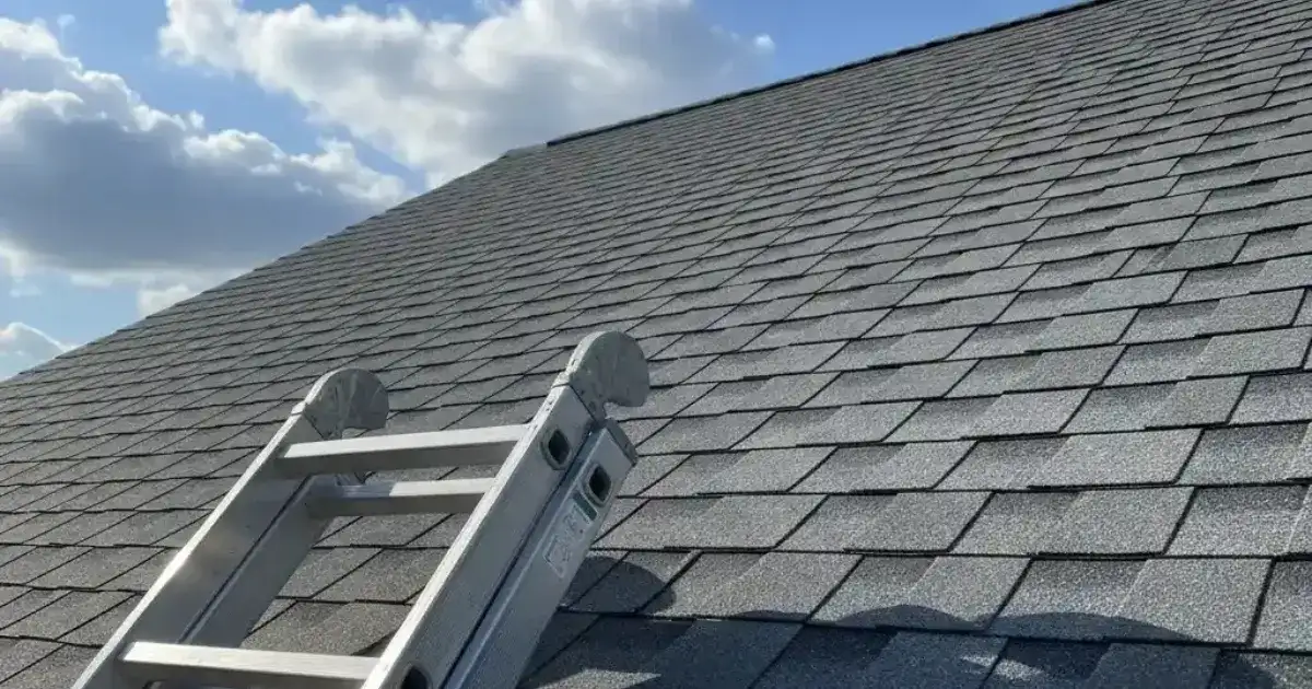 replace asphalt shingle roof