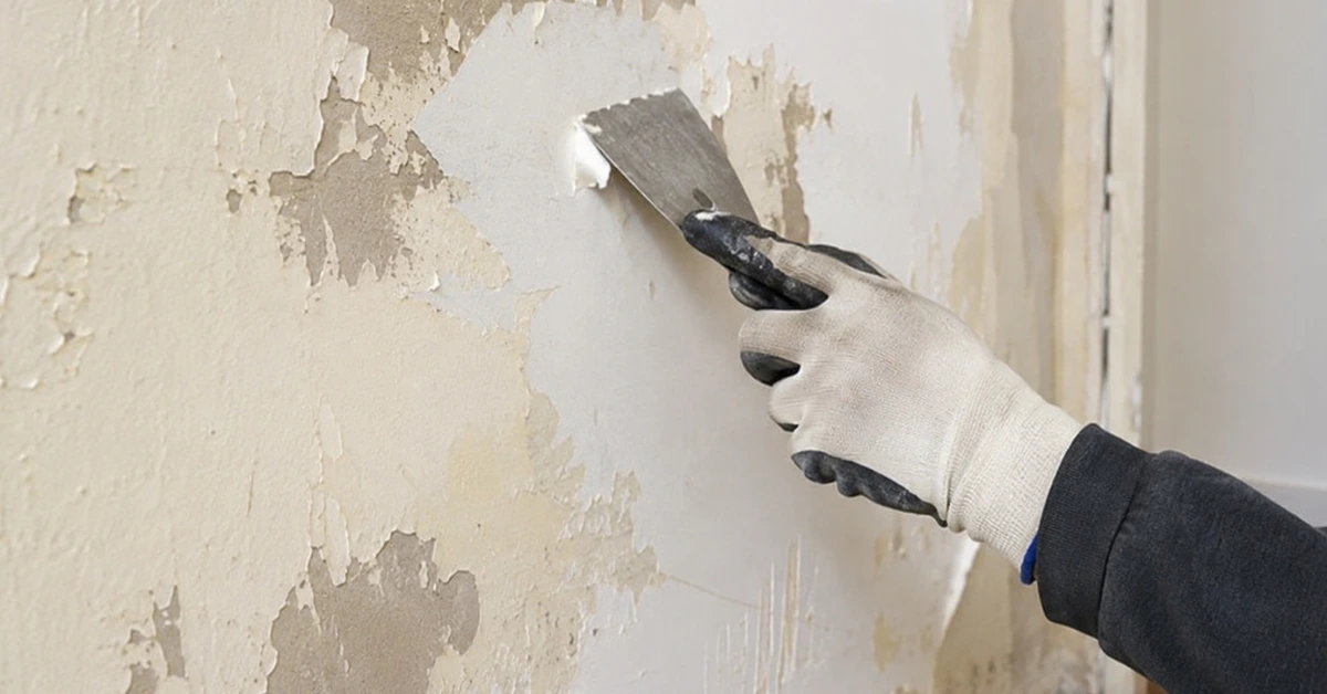 Removing paint from drywall